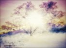 1BE8BDF1-4B34-4CFC-8CD9-FA1C408EB3FE.jpeg