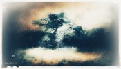 2752739D-53A4-49F8-AF35-65699E1E3D50.jpeg