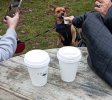 IMG_20230101_133722_resize_16.jpg