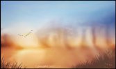 D8607550-D795-45E2-8C33-5A12F2ED53DF.jpeg