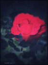 67410E47-A69E-4F95-ABAD-4B6FB6400558.jpeg