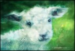 21299E81-3F17-46CE-A036-DE7A8C3A9B03.jpeg