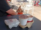 IMG_20230417_164240_resize_51.jpg