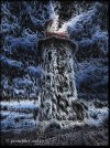 IMG_0636.jpeg