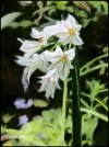 IMG_0750.jpeg