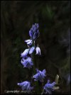 IMG_0838.jpeg
