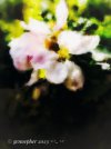 IMG_0999.jpeg