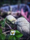 IMG_1053.jpeg