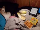 20230515_220416.jpg