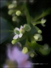IMG_1134.jpeg