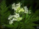 IMG_1183.jpeg