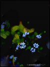 IMG_1296.jpeg