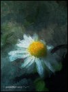 IMG_1381.jpeg