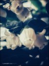 IMG_1408.jpeg