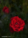IMG_1428.jpeg