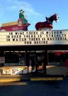 IMG_2904.jpeg