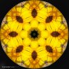 IMG_1909.jpeg