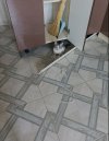 IMG_20230708_215629.jpg