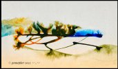 IMG_2170.jpeg