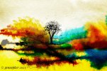 IMG_2193.jpeg