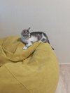 IMG_20230810_194015.jpg