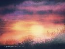 IMG_2705.jpeg