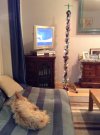 IMG_0256.jpeg