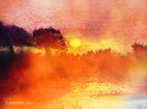 IMG_2802.jpeg