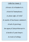 Collective Nouns2a.png