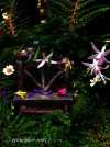 IMG_3010.jpeg