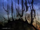 IMG_3126.jpeg