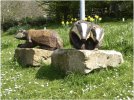 IMG_3843.jpeg