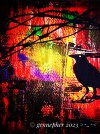 IMG_3416.jpeg