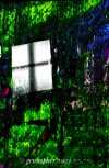 IMG_3508.jpeg