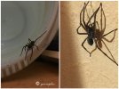 IMG_3599.jpeg