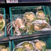 IMG_0213.jpeg