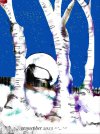 IMG_3716.jpeg