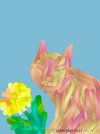 IMG_3821.jpeg