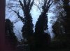 ImageUploadedByDCUK Forum1415951162.933888.jpg