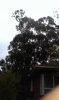 WP_20141115_009.jpg