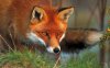 ImageUploadedByDCUK Forum1416603905.831722.jpg