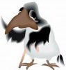 ImageUploadedByDCUK Forum1417517473.583409.jpg