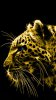 animals gold spirit 1leopards black background.jpg