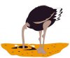 bury head in sand.jpg