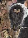 IMG_3891.jpeg