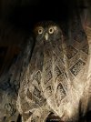 IMG_4161.jpeg