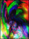 IMG_4250.jpeg