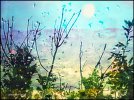 IMG_4308.jpeg