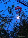 IMG_4413.jpeg