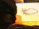 IMG_4426.jpeg